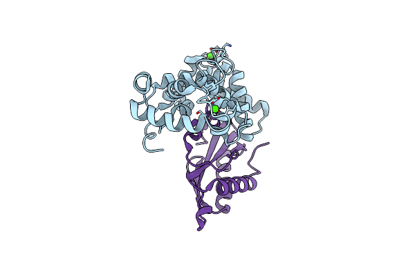 2EHB image