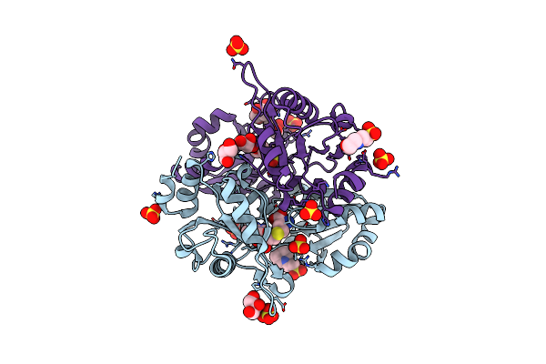 2EHL image