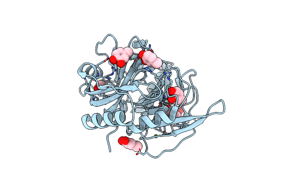 2EHZ image