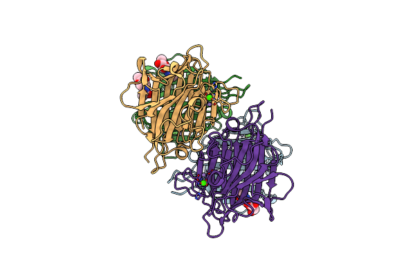 2EIG image