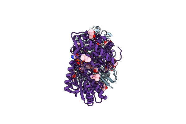 2EII image