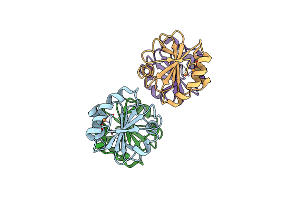2EIR image
