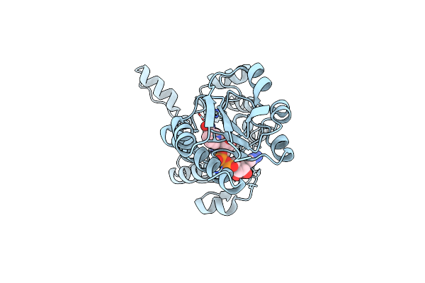2EKL image