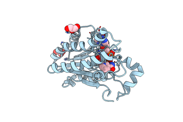 2EKP image