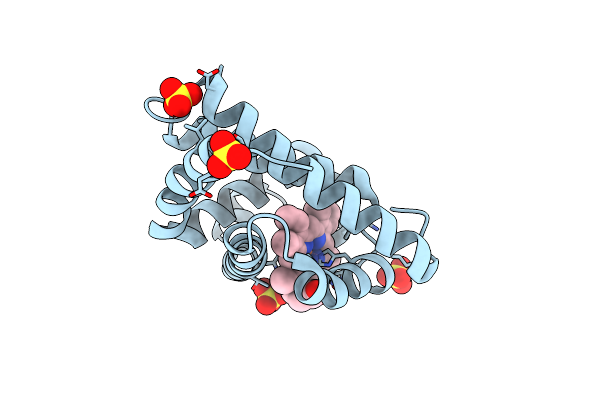 2EKT image