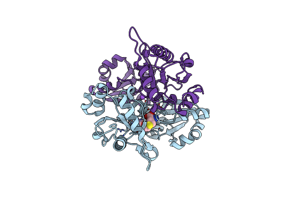 2EMR image