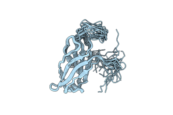 2ENP image