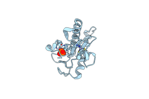 2EO4 image