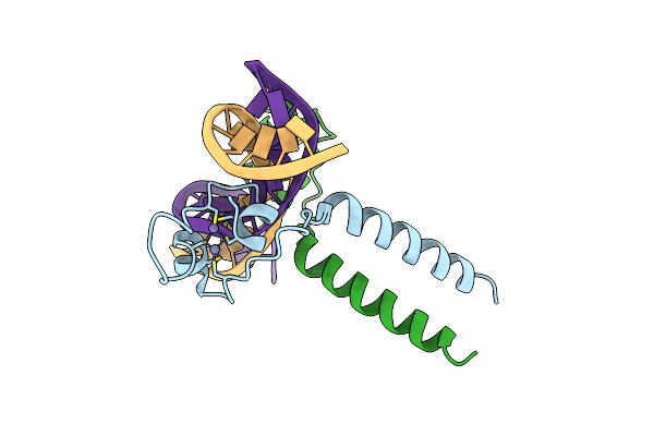 2ERG image
