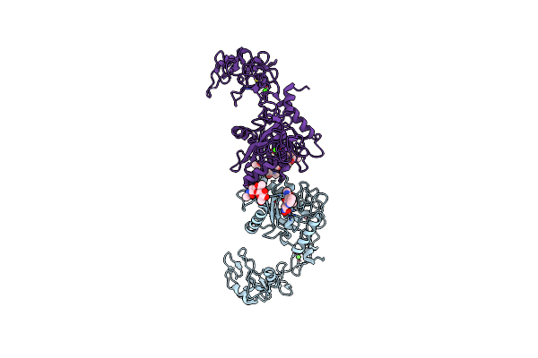2ERP image