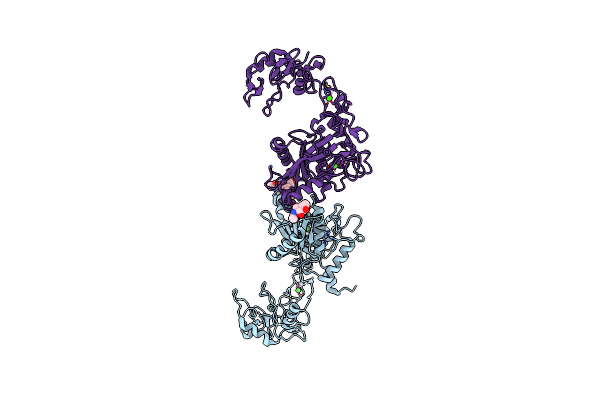 2ERQ image