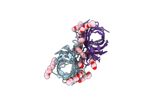 2ERV image