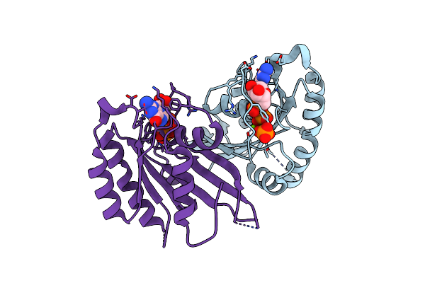 2ERX image