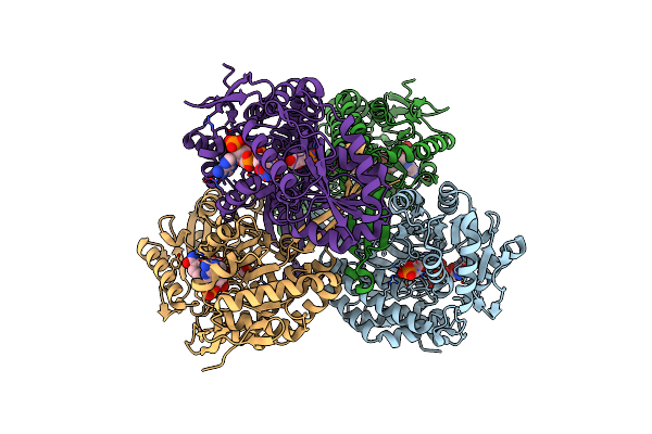 2ESD image