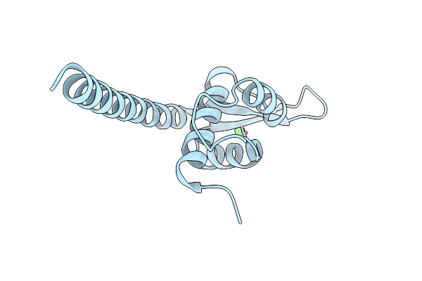 2ESH image
