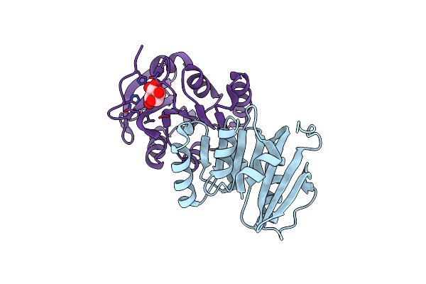 2ESR image