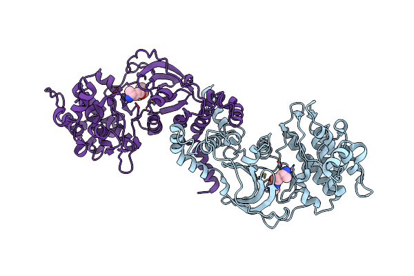 2ETR image