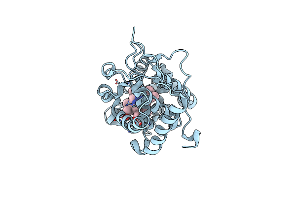 2EUP image