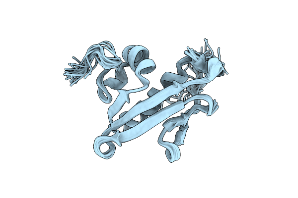 2EVN image