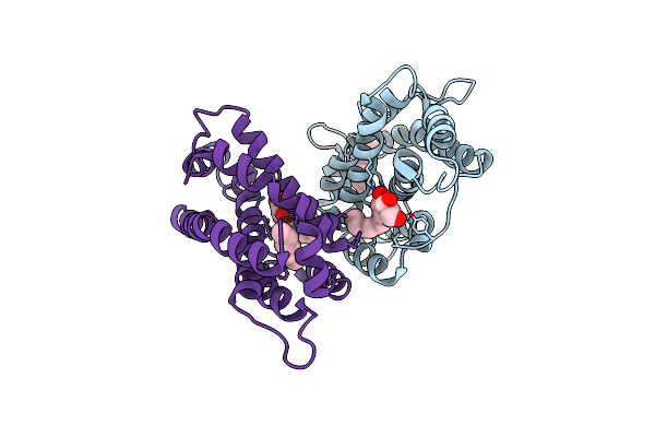 2EVS image