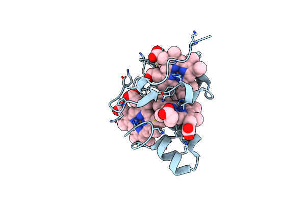 2EWK image