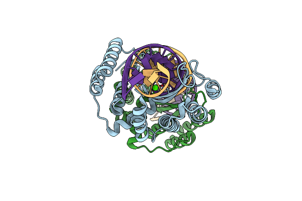 2EX5 image