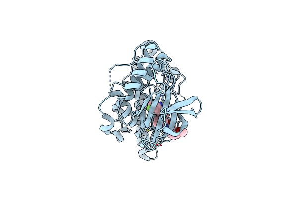 2EXC image