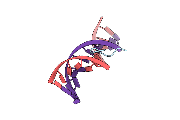 2EZF image