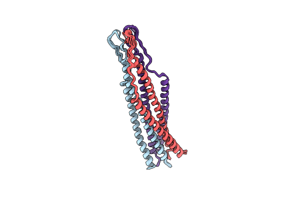 2EZP image