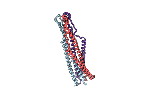 2EZS image