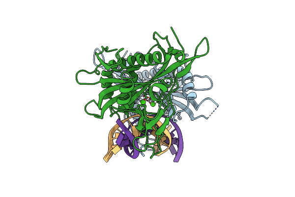2EZV image