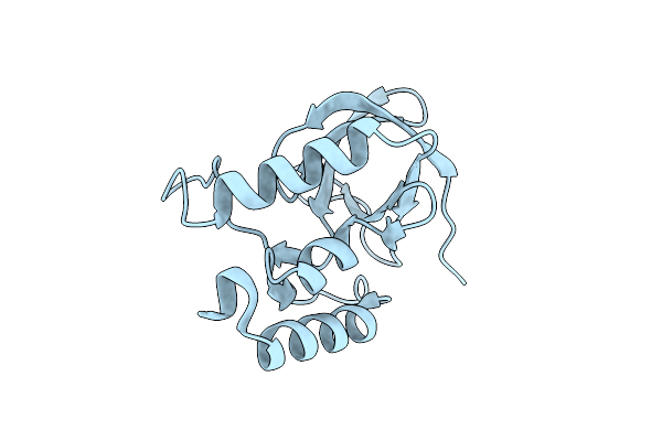 2F0D image