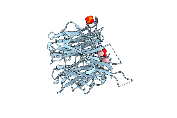 2F11 image