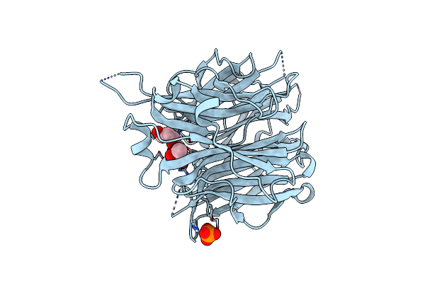 2F12 image