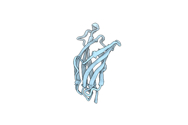 2F1E image