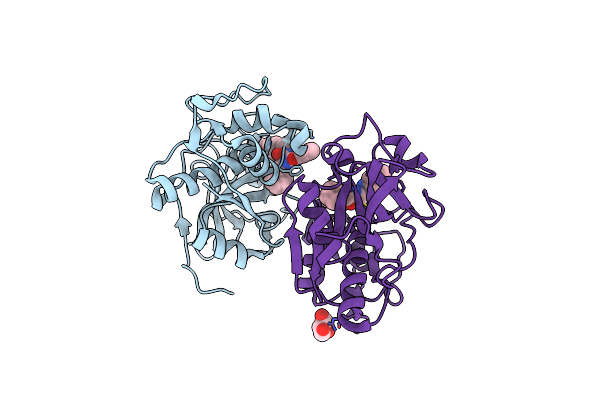 2F1G image