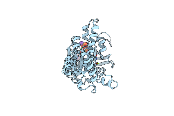 2F1H image