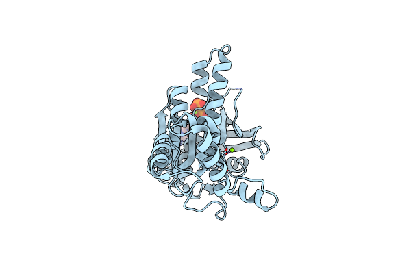 2F1I image