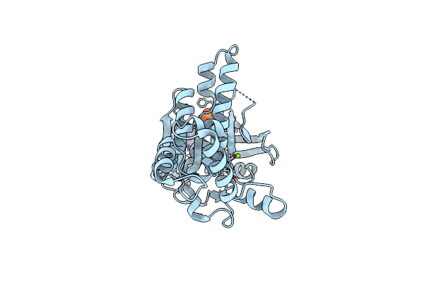 2F1J image