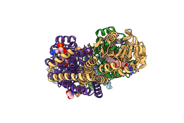 2F1K image