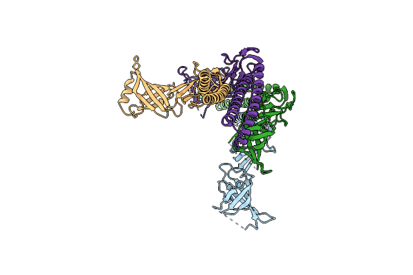 2F1M image