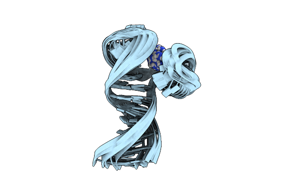 2F1Q image
