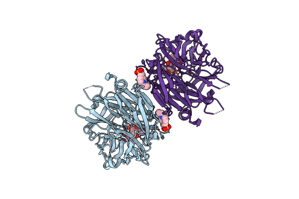 2F25 image