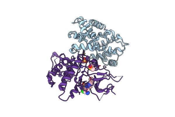 2F2C image