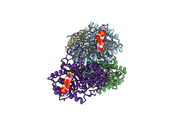 2F2S image