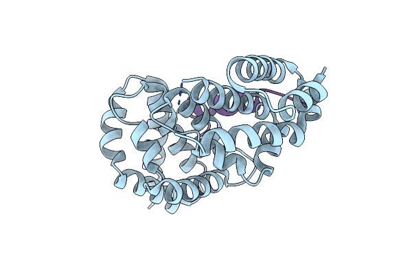 2F31 image