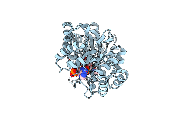 2F38 image
