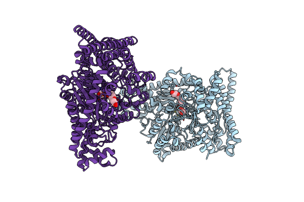 2F3O image