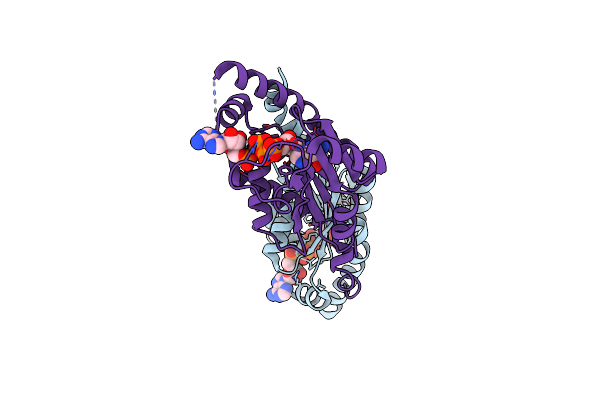 2F3R image