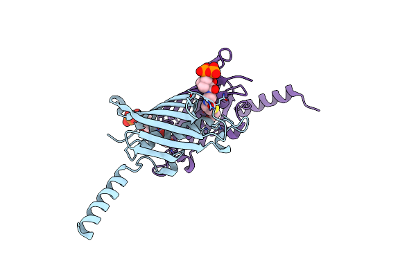 2F3X image